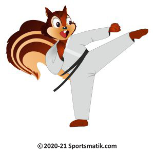 Gillu practicing Karate