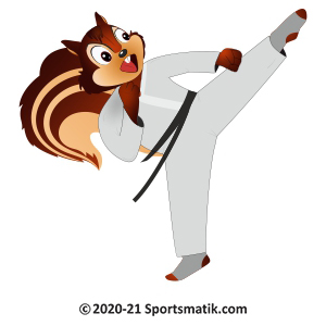 Gillu practicing Taekwondo