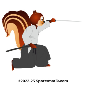 Gillu practicing Aikido