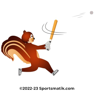 Gillu practicing Baseball