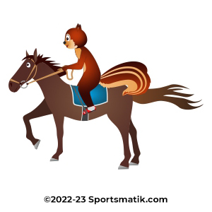 Gillu practicing Dressage