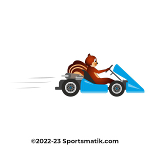 Gillu practicing Karting