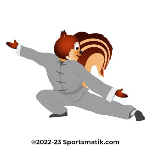 Gillu practicing Kung Fu / Wushu