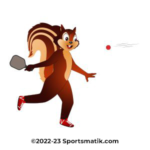 Gillu practicing Pickleball