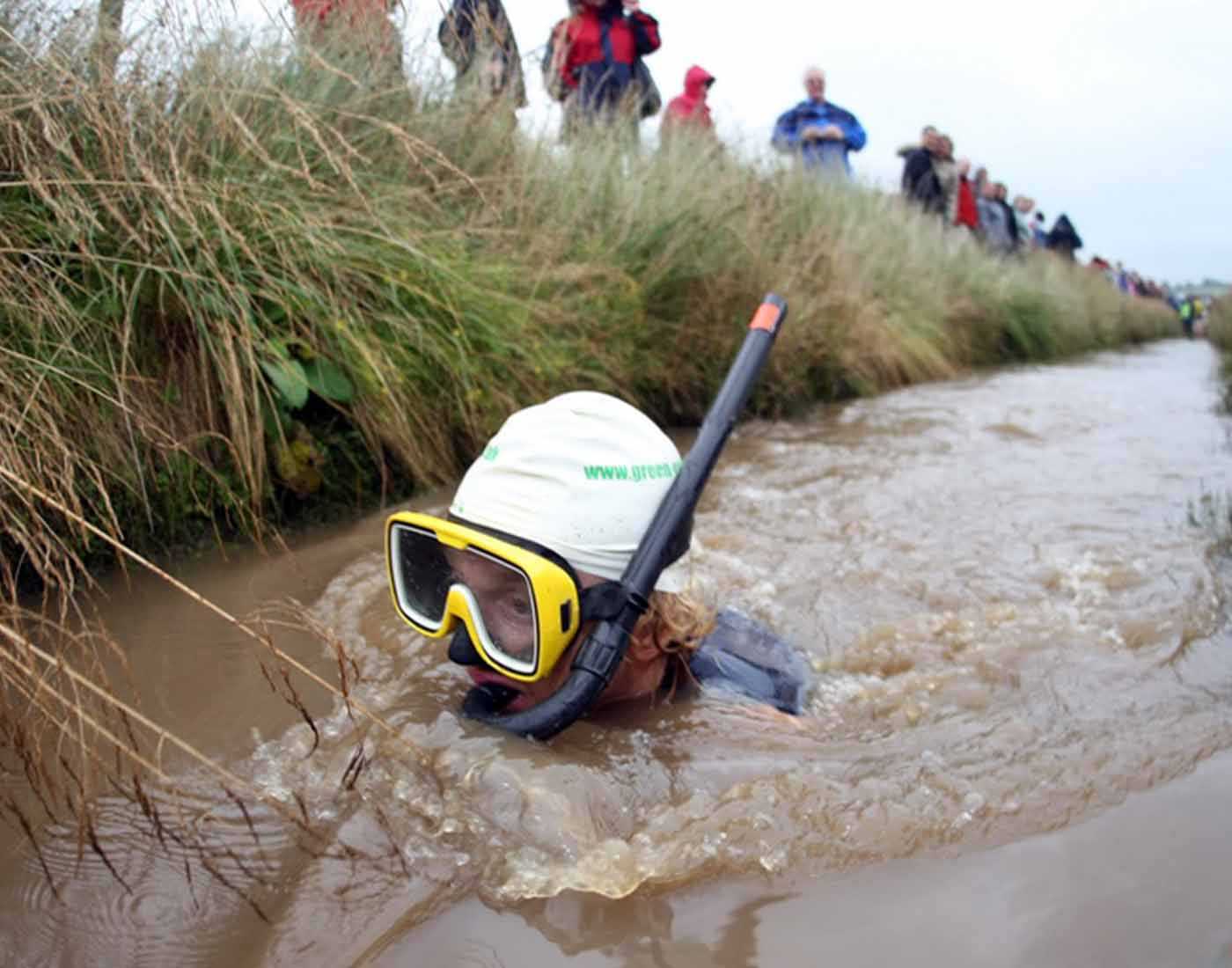 Bog snorkelling