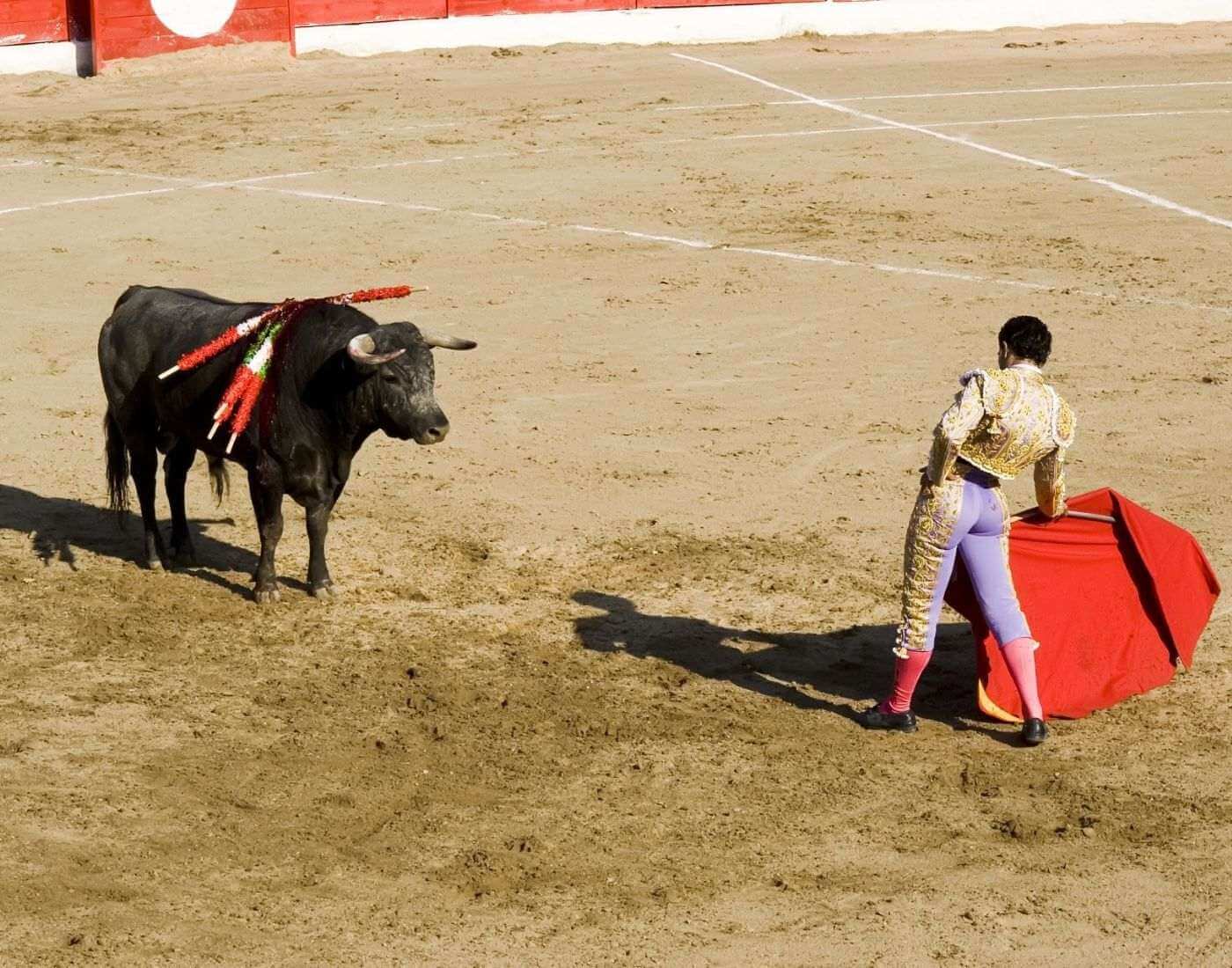 Where Does Bullfighting Originate