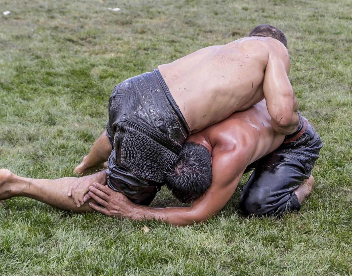 Muscle Oil Wrestling