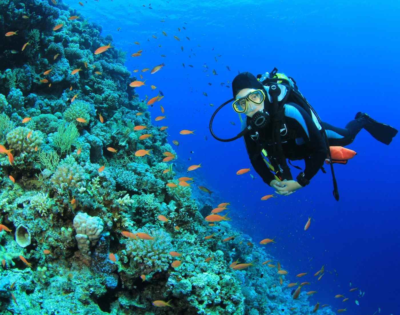 ten-rules-for-safe-scuba-diving-scuba-diver-life