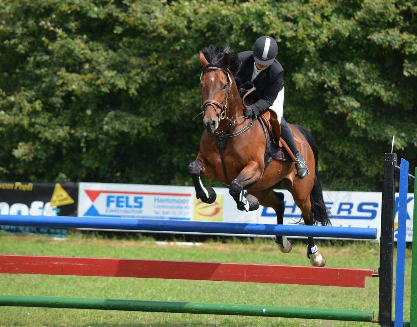 Show Jumping Rules