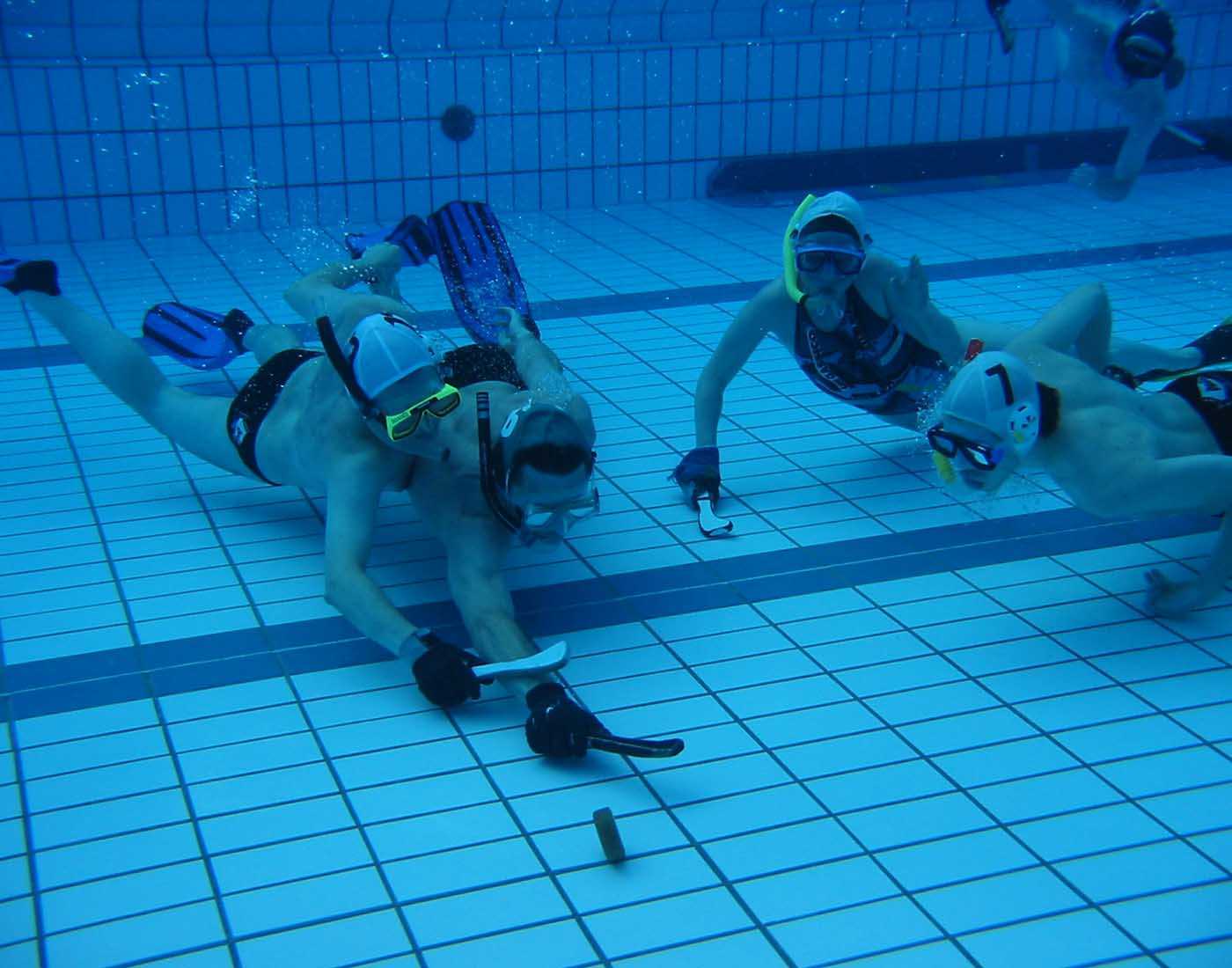 Underwater Hockey: Fun Facts, Amazing Fact, Did you know, Interesting Facts