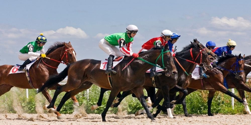Horse Racing: Bangalore Turf Club season begins but without spectators