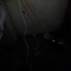 Anish Dev Gupta