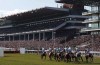 Cheltenham Racecourse