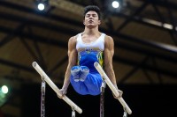 Parallel Bars