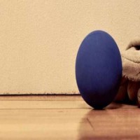 American Handball - Ball