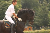 Dressage - Gloves