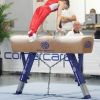 Pommel Horse