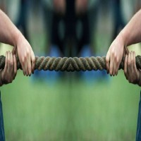 Tug Of War - Rope