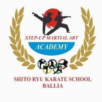 Step Up Martial Arts Academy Academy