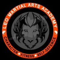Leo Martial Arts Academy Academy