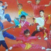 KUNG FU FEDERATIONOF INDIA Sports Governing Body