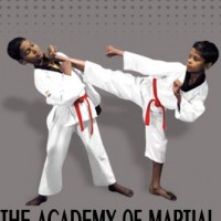 Omega the academy of martial art Academy