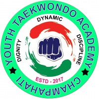 Youth Taekwondo Academy Academy