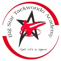 Big Star Taekwondo Academy Academy