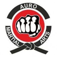 Auro Martial Arts Academy Academy
