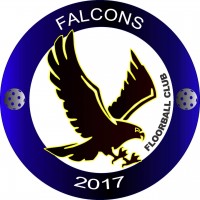 Falcons Floorball Club Club