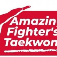 Amazing fighters taekwondo academy Academy