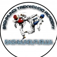 Baghmundi Taekwondo Academy Academy