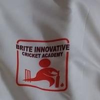 Brite Innovative Cricket Academy Academy