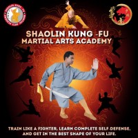 Shaolin Kung fu Martial arts academy Academy