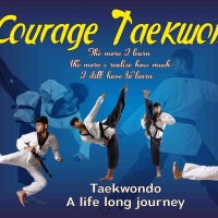 Courage Martial Arts Taekwondo Club Academy