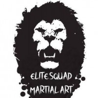 Elite Squad Martial Art Academy Academy