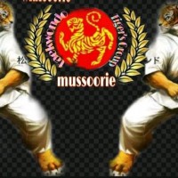 Mussoorie Taekwondo Academy Academy