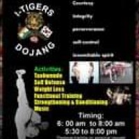 I Tigers Dojang Academy