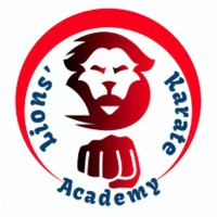 Lions' Karate Academy Academy