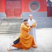 Traditional shaolin kungfu Academy