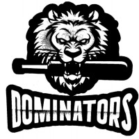 Dominators Cricket Club Academy
