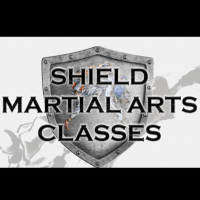 Shield martial arts and selfdefense Academy