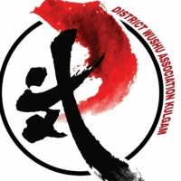 District kulgam wushu association Sports Governing Body