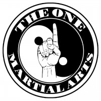 The One Martial Arts Academy