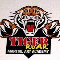 Tiger Roar Martial Art Academy - Karate Academy