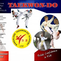 Bangalore Taekwondo Academy Academy