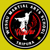 Wushu martial arts school Academy