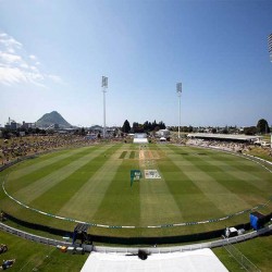 Bay Oval