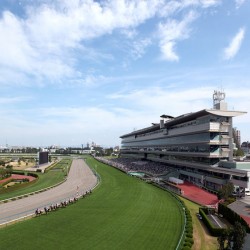 Hanshin Racecourse
