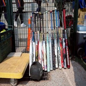 Softball - Bat